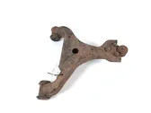 Front lower control arm/wishbone