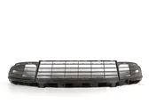 Front bumper lower grill