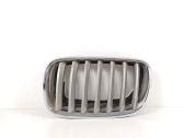 Kühlergrill