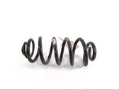 Rear coil spring