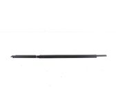 Rear door trim (molding)