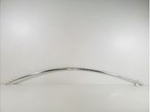 Roof trim bar molding cover