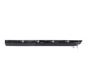 Rear door trim (molding)