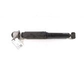 Rear shock absorber/damper