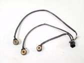 Sensor de petardeo del motor