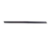 Front door trim bar