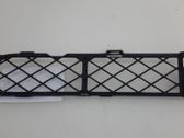 Grille inférieure de pare-chocs avant