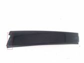 Other rear door trim element