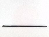 Rear door trim (molding)