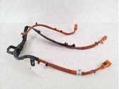 Other wiring loom