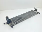 Radiador intercooler