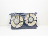 Electric radiator cooling fan