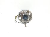 Rear wheel hub