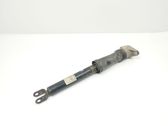 Rear shock absorber/damper