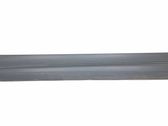 Front door trim (molding)