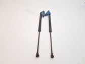 Tailgate/trunk strut/damper