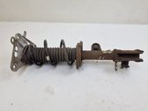 Rear shock absorber with coil spring