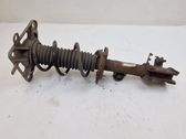 Rear shock absorber with coil spring