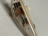 Front fender indicator light