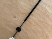 Línea de cable de puerta trasera