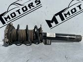 Front shock absorber/damper