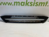 Front bumper lower grill