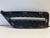 Front bumper lower grill