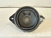 Panel speaker
