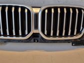 Front grill