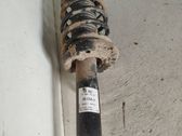 Front shock absorber with coil spring