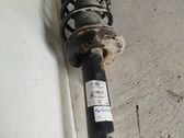 Front shock absorber with coil spring