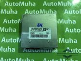 Engine control unit/module ECU