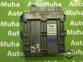 Engine control unit/module ECU