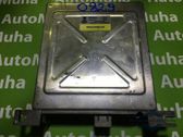 Engine control unit/module ECU
