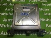 Engine control unit/module ECU