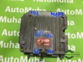 Engine control unit/module ECU