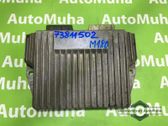 Engine control unit/module ECU
