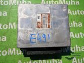 Engine control unit/module ECU