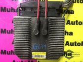 Motorsteuergerät ECU