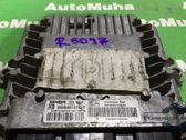 Engine control unit/module ECU