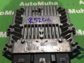 Engine control unit/module ECU
