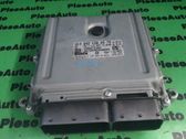 Engine control unit/module ECU