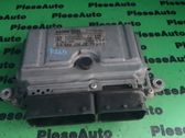 Engine control unit/module ECU