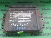 Engine control unit/module ECU