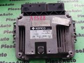 Engine control unit/module ECU