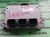 Engine control unit/module ECU