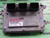Engine control unit/module ECU