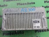 Engine control unit/module ECU