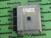 Engine control unit/module ECU