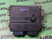 Engine control unit/module ECU
